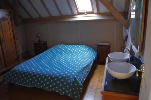 De Cameleon - Housity