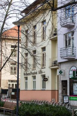 Penzion Alfa Poděbrady - Housity