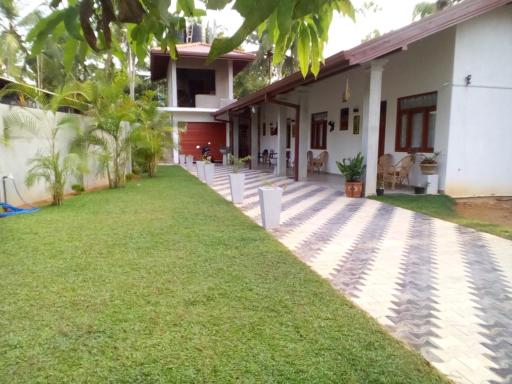 Orchid Dream - Housity