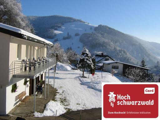 Steiert Panorama Apartments Todtnau - Housity