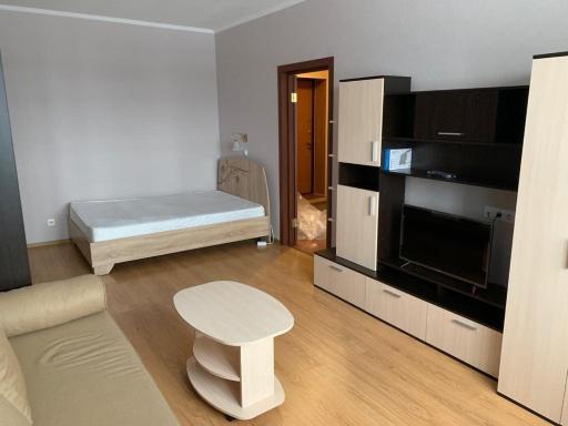 Apartamenty tverichanka na sklizkova 116 47 1 - Housity