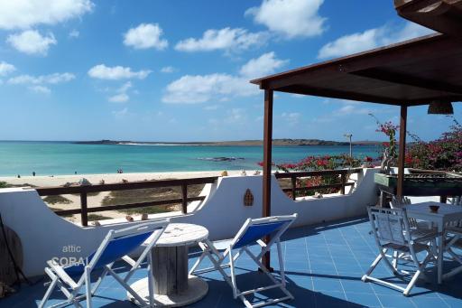 BookingBoavista - Coral - Housity