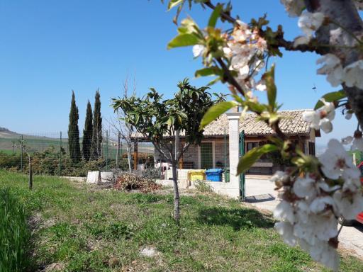 Villa Lemme - Housity