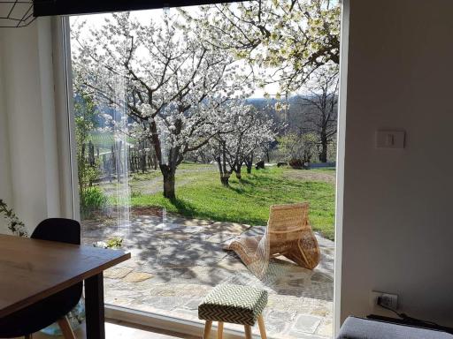 Apartma Vita - Housity