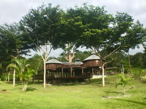 Exotic High End Unique Off-The-Grid Treehouse, steps away from the Mopan River! - Housity
