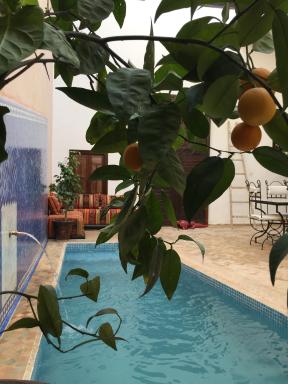 Riad Safia - Housity