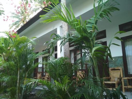 ALMAIDA II Gili Trawangan - Housity