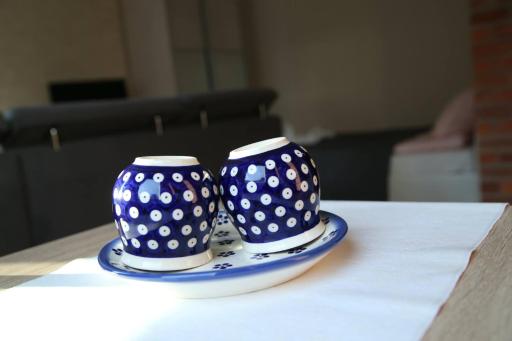 ALIBI Apartament Boleslawiec - Housity