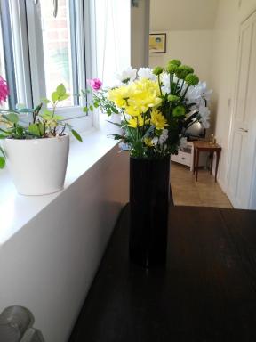 Garden Cottage - Housity