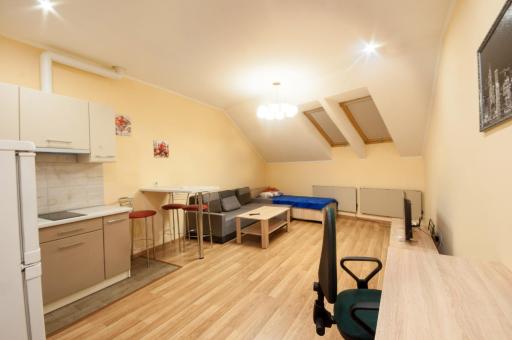 Wonderful flat on city center (Mukachivska 4/17) - Housity