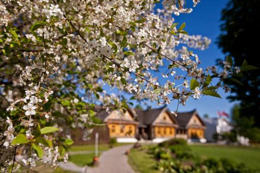 Pushkarskaya Sloboda - Housity