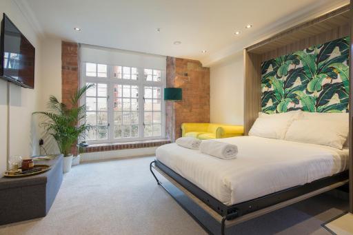 ChocoLets - The Yorkie Suite - Housity