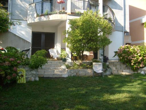 Apartments Danica - Housity