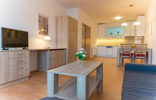 Apartmán U Lázní D22 - Housity