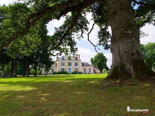 Château Du Pin - Teritoria - Housity