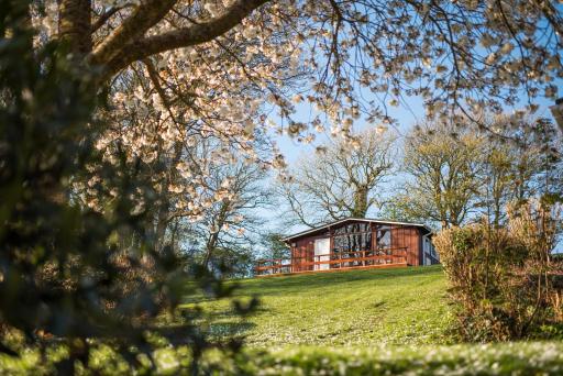 Timber Hill Self Catering Cedar Lodges - Housity