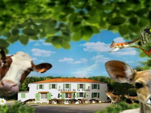 L'Auberge de la Forêt - Housity
