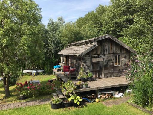 Cabin in the Green - near Amsterdam - Housity