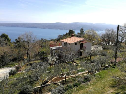 Olivetino - Housity
