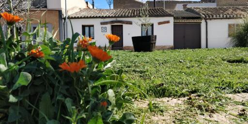 La mimosa - Housity