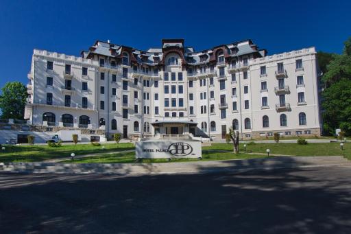 Hotel Palace - Housity