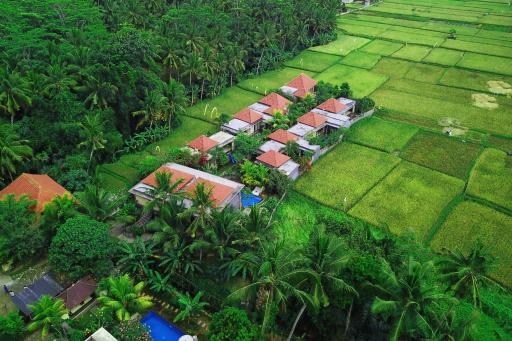 Asri Sari Ubud Resort & Villa by Samhita Bali - Housity
