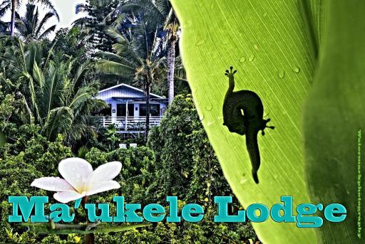 Ma'ukele Lodge - Housity