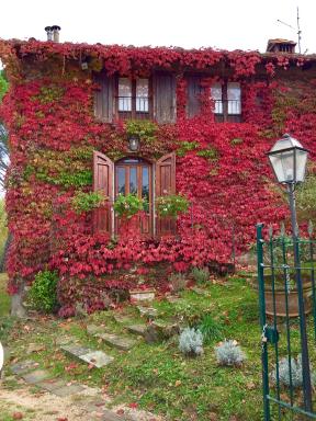 B&B Appartamenti Villa del lago - Housity