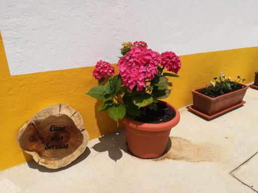 Casa das Sereias - Housity