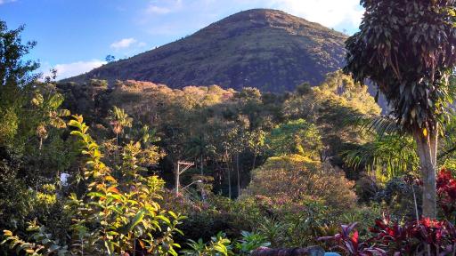 Casa de Araras - Housity