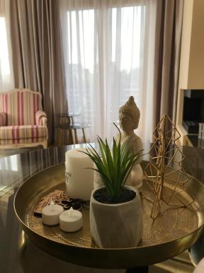 Lux Apartments Janjic - Housity