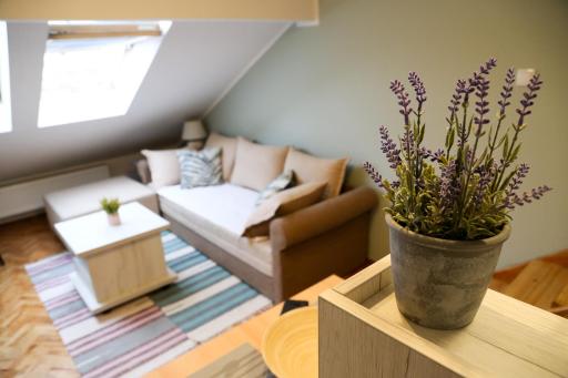 Hann Apartments - Housity