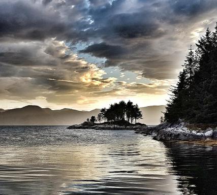 Waerholmen - Housity