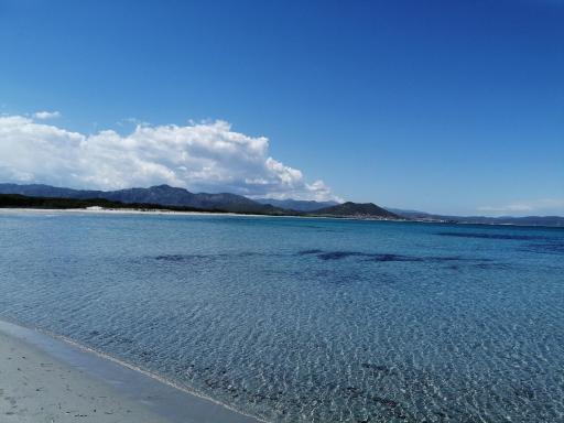 Sunflower house - Housity