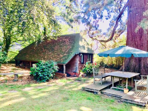 Woodland Chalet at Otters Green - Housity