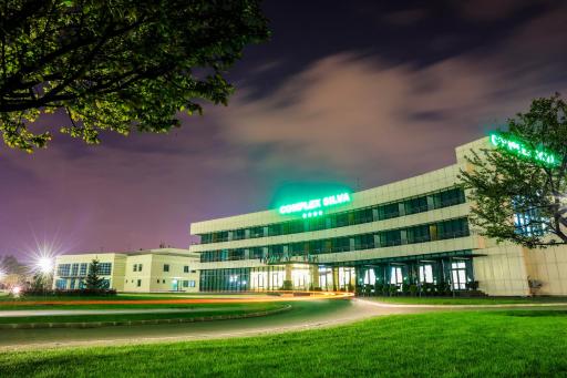 Complex Silva - Hizvo
