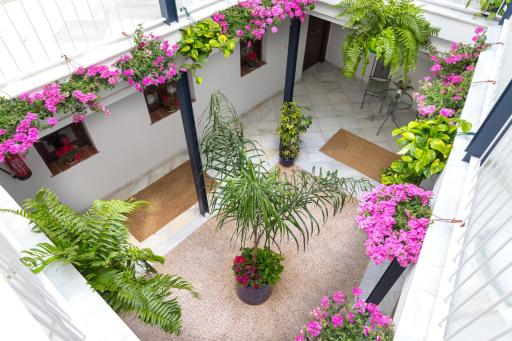 Casa Los Cuatro Soles - Housity
