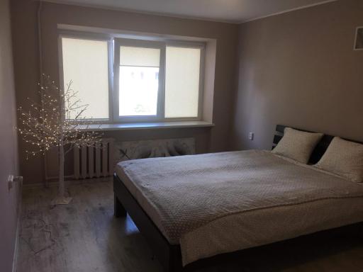 Anyksciu liuksas - Housity