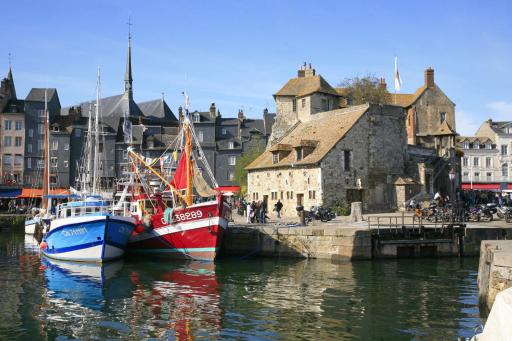 Studio meublé Jacynthe Proche Le Havre - Etretat - Honfleur - Housity