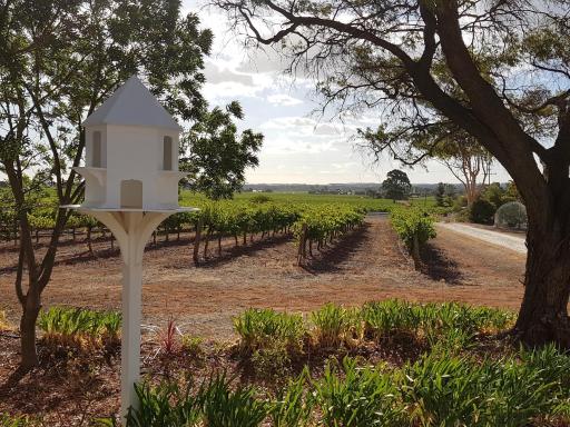 'In The Vines' Guest Cottage, Barossa Valley - Housity