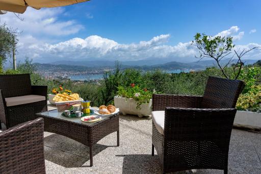 Gli ulivi sul Golfo e le 5 terre - Housity