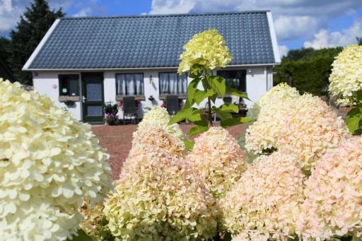 Sfeervol Appartement Het Knooppunt - Housity