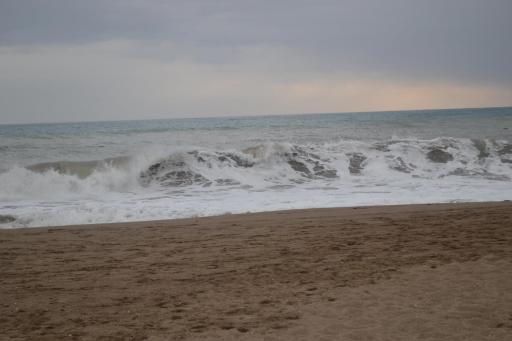 Ferienhaus Strandhus Juwel mit Blick auf dem Deich, Schafe zählen mal ganz anders - Housity