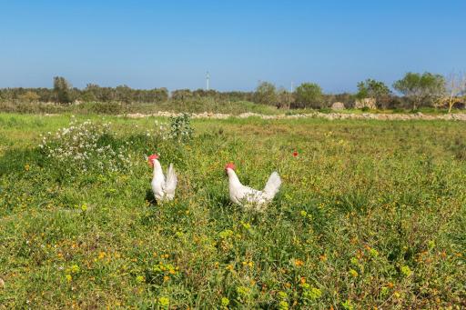 Villetta Evelyn - Housity