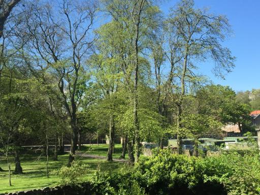 Next Door to Holyrood Palace and Arthur's Seat - Housity