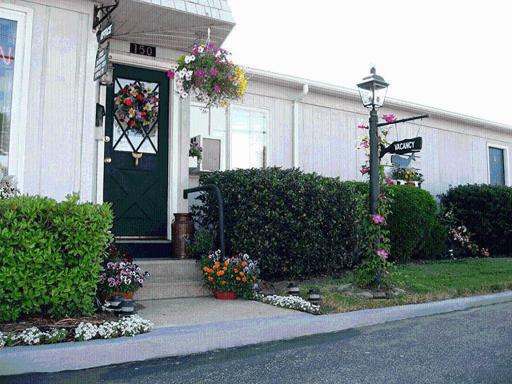 Sea Whale Motel - Housity