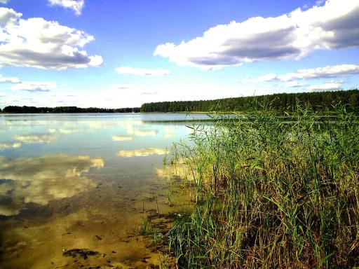 OŚRODEK WYPOCZYNKOWY OAZA - Housity