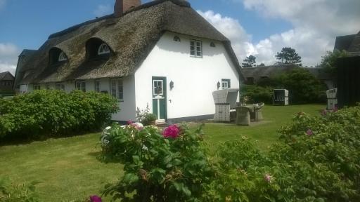 Reetdach Friesenhof Süderende - Housity