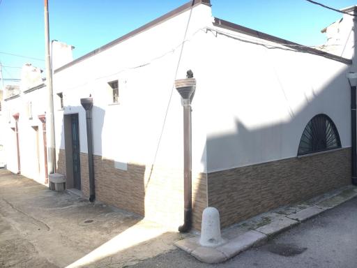 Patanella Wine - Housity