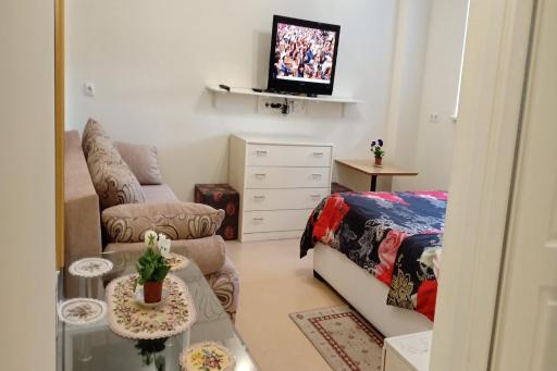 Kaunas Downtown Apartments - Housity